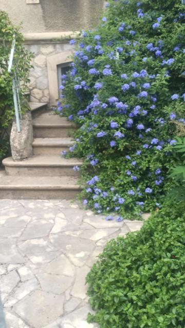 Chez Catherine *